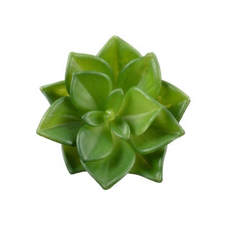 Τεχνητός Κήπος SUCCULENT ECHEVERIA  Διακοσμητικό Φυτό Παχύφυτο Εχεβέρια Υ8cm