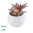 Τεχνητός Κήπος SUCCULENT ALOE  Διακοσμητικό Φυτό Παχύφυτο Αλόη Υ10cm