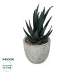 Τεχνητός Κήπος SUCCULENT ALOE POTTED   Διακοσμητικό Φυτό Αλόη  Φ7 x Υ14cm