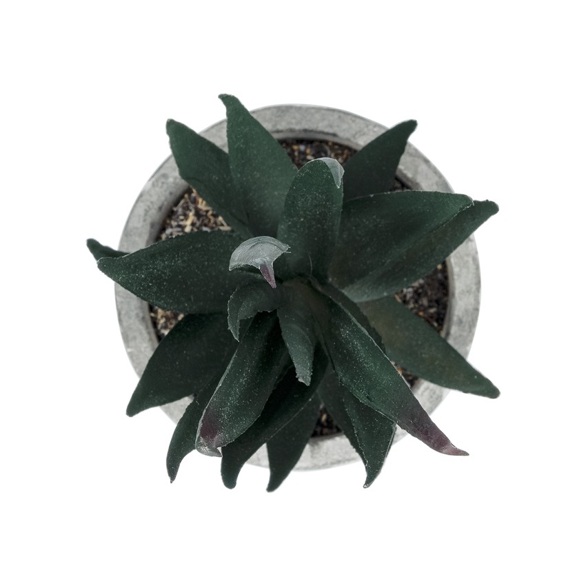 Τεχνητός Κήπος SUCCULENT ALOE POTTED   Διακοσμητικό Φυτό Αλόη  Φ7 x Υ14cm