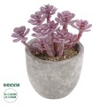 Τεχνητός Κήπος SUCCULENT SEDUM  Διακοσμητικό Φυτό Παχύφυτο Σέδο Υ10cm