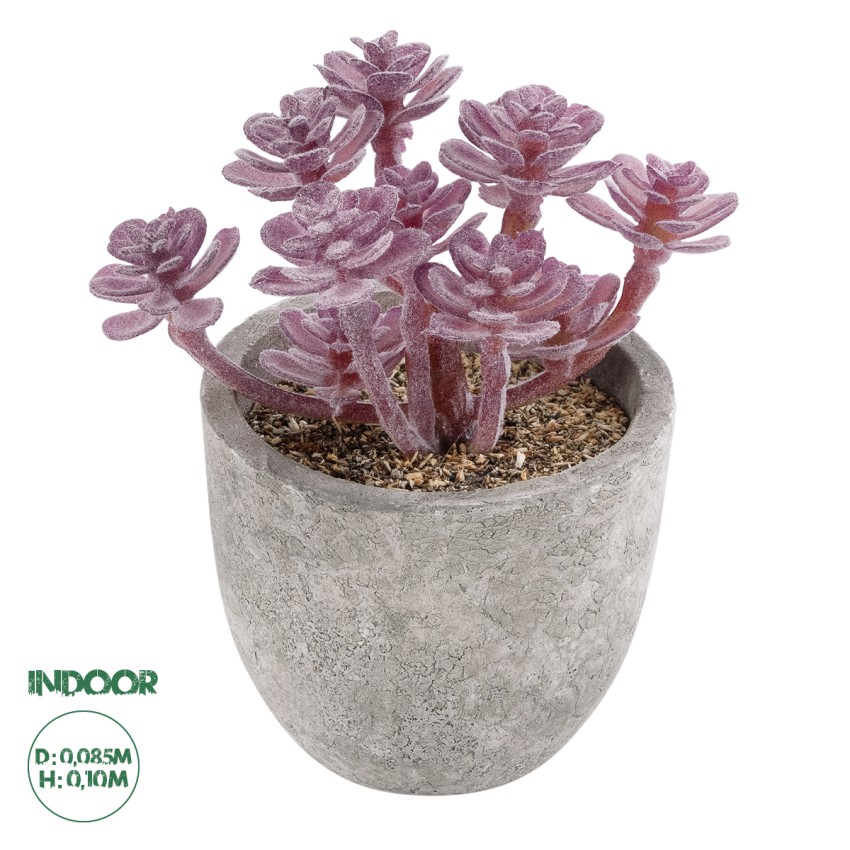 Τεχνητός Κήπος SUCCULENT SEDUM  Διακοσμητικό Φυτό Παχύφυτο Σέδο Υ10cm