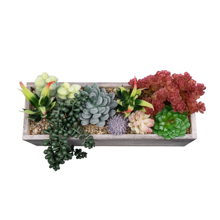 Τεχνητός Κήπος SUCCULENT VARIUS  POTTED  Διακοσμητικό Φυτό Μίξ Μ29 x Π10 x Υ18cm