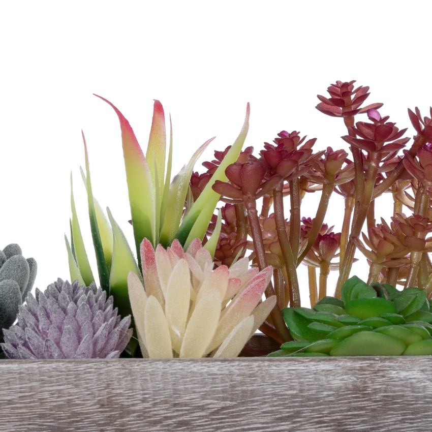 Τεχνητός Κήπος SUCCULENT VARIUS  POTTED  Διακοσμητικό Φυτό Μίξ Μ29 x Π10 x Υ18cm