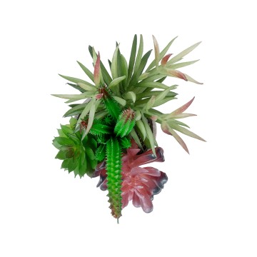 Τεχνητός Κήπος SUCCULENT VARIUS  POTTED  Διακοσμητικό Φυτό Μίξ Μ17 x Υ20cm