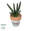 Τεχνητός Κήπος SUCCULENT EUPHORBIA POTTED   Διακοσμητικό Φυτό Ευφορβία Φ11 x Υ19cm
