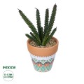 Τεχνητός Κήπος SUCCULENT EUPHORBIA POTTED   Διακοσμητικό Φυτό Ευφορβία Φ11 x Υ19cm