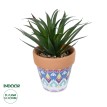 Τεχνητός Κήπος SUCCULENT SANSEVIERIA POTTED   Διακοσμητικό Φυτό Σανσεβιέρια  Φ16x Υ20cm