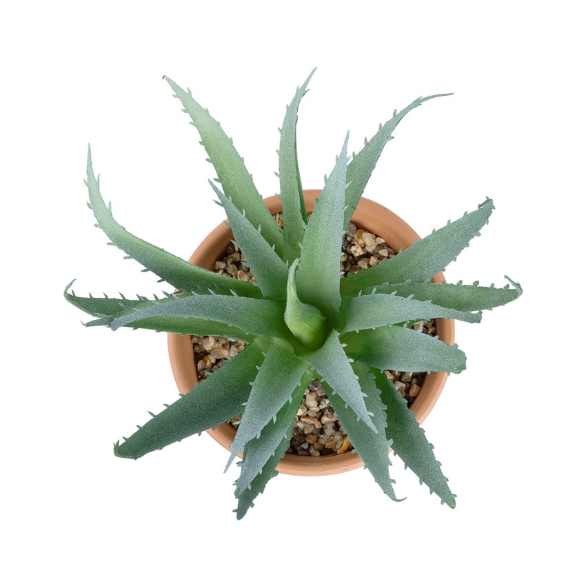 Τεχνητός Κήπος SUCCULENT ALOE POTTED   Διακοσμητικό Φυτό Αλόη  Φ15 x Υ19cm