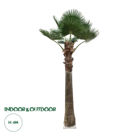Τεχνητός Κήπος  PALM TREE  Διακοσμητικό Δέντρο Φοίνικα  Φ240 x Υ400cm