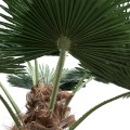 Τεχνητός Κήπος  PALM TREE  Διακοσμητικό Δέντρο Φοίνικα  Φ240 x Υ400cm