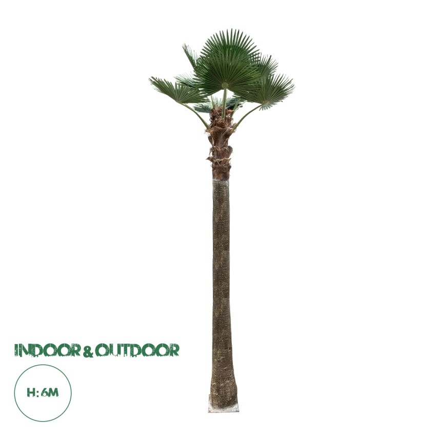 Τεχνητός Κήπος  PALM TREE  Διακοσμητικό Δέντρο Φοίνικα  Φ240 x Υ600cm
