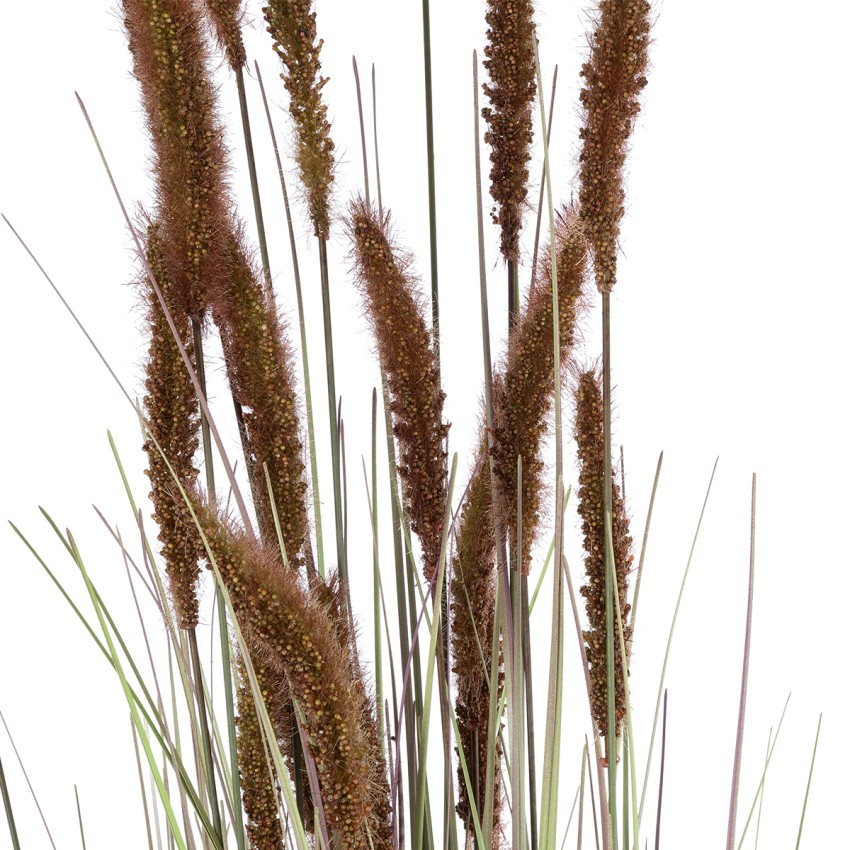 Τεχνητός Κήπος BROWN LAGURUS  Διακοσμητικό Φυτό Καφέ Λαγοουρά Υ140cm