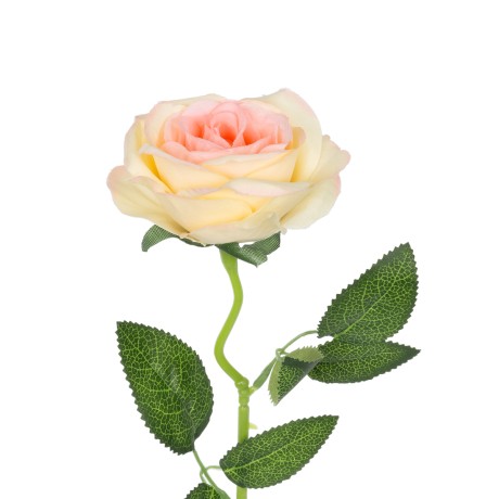 Τεχνητός Κήπος CHAMPAGNE ROSE BRANCH  Τεχνητό Διακοσμητικό Κλαδί Σαμπανιζέ Τριαντάφυλλο Y50cm