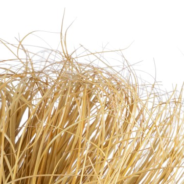 Τεχνητός Κήπος GRASS BUSH   Τεχνητό Διακοσμητικό Φυτό Θάμνος Grass Π50cm Y30cm