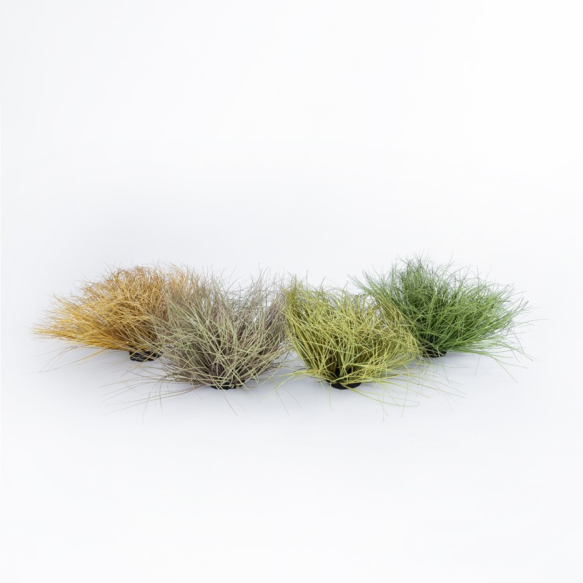 Τεχνητός Κήπος GRASS BUSH   Τεχνητό Διακοσμητικό Φυτό Θάμνος Grass Π50cm Y30cm