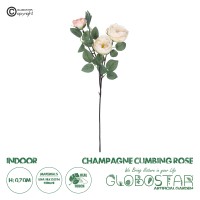 Τεχνητός Κήπος CHAMPAGNE CLIMBING ROSE BRANCH  Τεχνητό Διακοσμητικό Κλαδί Τριαντάφυλλο Σαμπανιζέ Y70cm