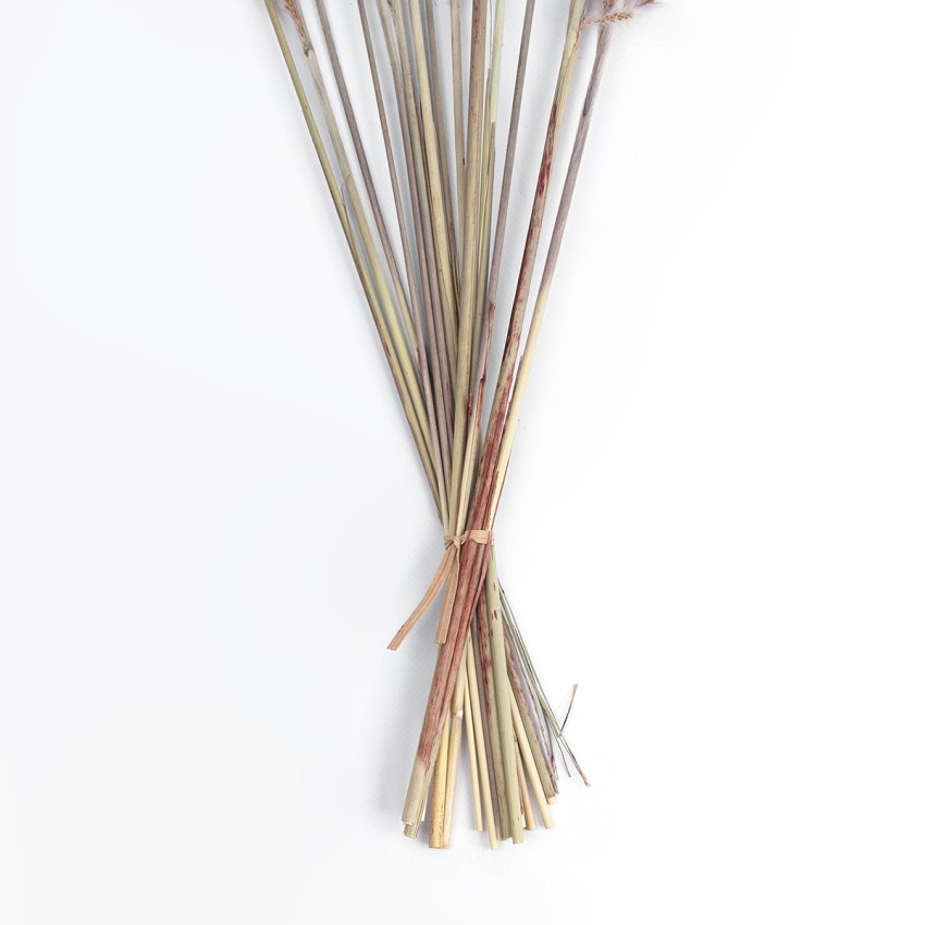 Τεχνητός Κήπος REAL DRIED BROWN PAMPAS GRASS BUNCH  Αποξηραμένο Διακοσμητικό Μπουκέτο Pampas Kάφε Y50cm