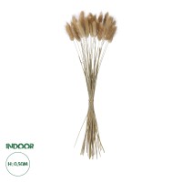 Τεχνητός Κήπος REAL DRIED BEIGE WHEAT BUNCH   Αποξηραμένο Διακοσμητικό Μπουκέτο Σιταριού Y50cm