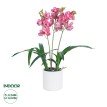 Τεχνητός Κήπος PINK CHERRY CYMBIDIUM  Διακοσμητικό Φυτό Φούξια Κυμβίδιο Υ60cm