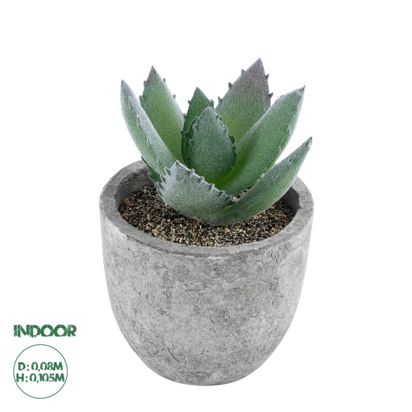 Τεχνητός Κήπος SUCCULENT ALOE  Διακοσμητικό Φυτό Παχύφυτο Αλόη Υ10.5cm