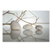 Πίνακας σε καμβά "Stones and Branches" ψηφιακής εκτύπωσης 90x60x3εκ.