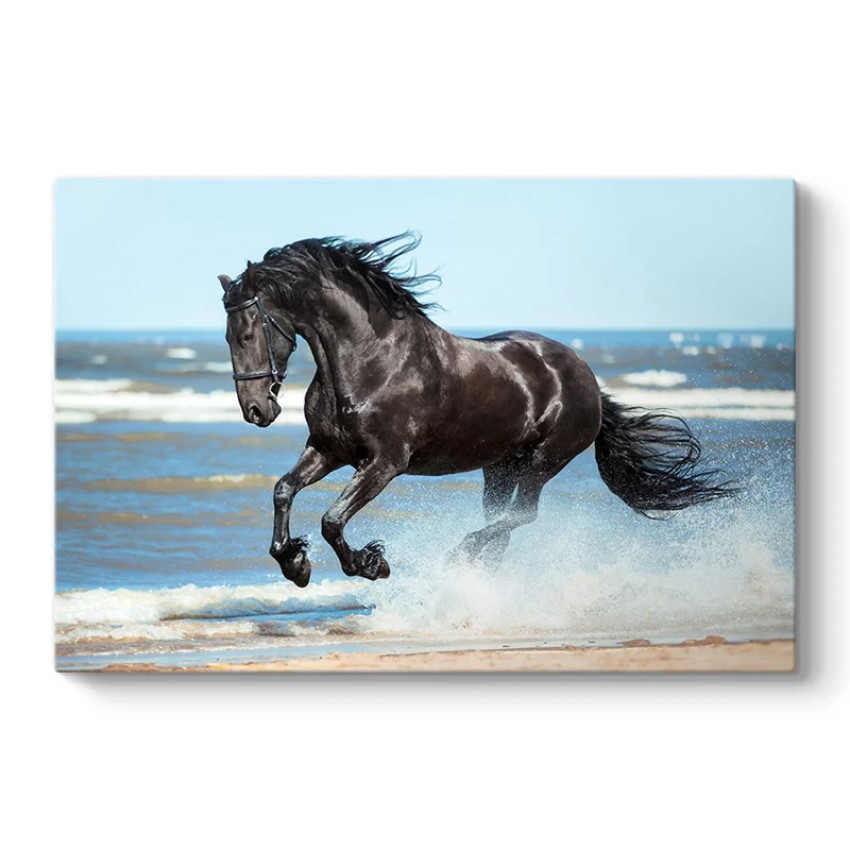 Πίνακας σε καμβά "Black Horse" ψηφιακής εκτύπωσης 100x70x3εκ.