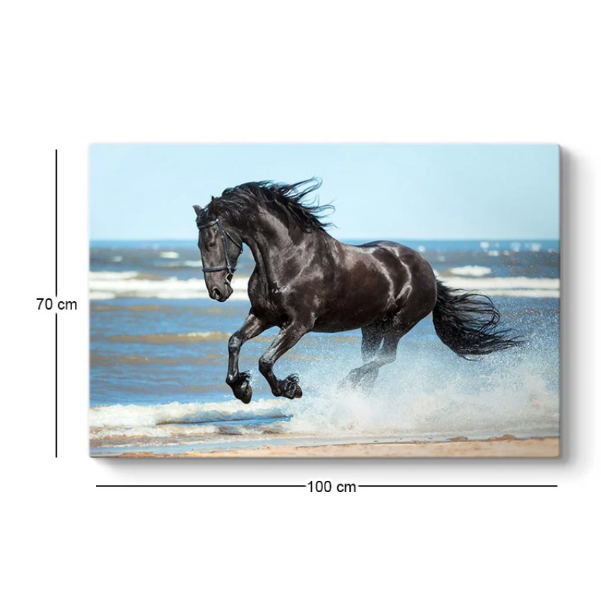 Πίνακας σε καμβά "Black Horse" ψηφιακής εκτύπωσης 100x70x3εκ.