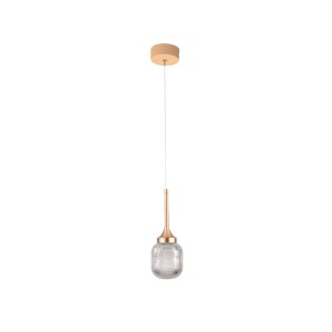 Inlight Κρεμαστό φωτιστικό LED 10W από χρυσαφί μέταλλο και ακρυλικό D:10x200cm (4077-1)