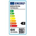 E27 LED Filament G45 6watt (7.27.06.13.1)