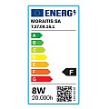 E27 LED Filament G95 8watt Dimmable (7.27.08.16.1)