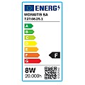 E27 LED Filament G95 8watt με μελί κάλυμμα (7.27.08.42.1)