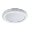 42054-White