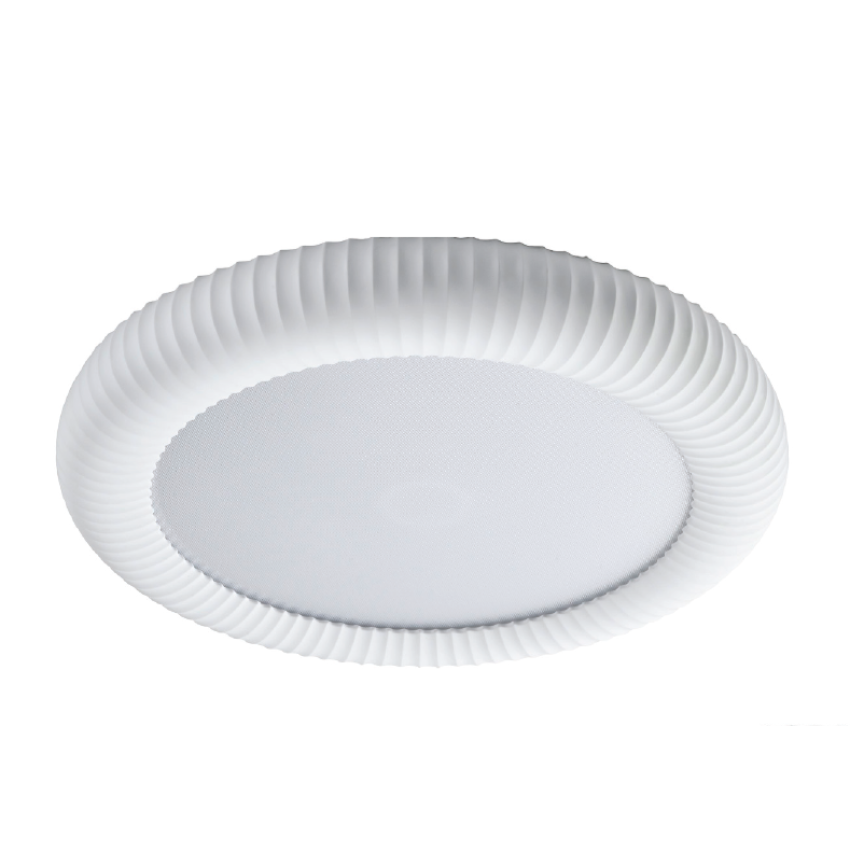 42054-White