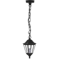 it-Lighting Redfish 1xE27 Outdoor Pendant Light Black D:137cmx21.5cm (80300114)