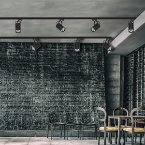Σποτ τριφασικής ράγας LED 10W 4000K σε μαύρη απόχρωση D:10cmX15,5cm (T01002-BL)