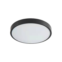 it-Lighting Torch LED 18W 3CCT Outdoor Ceiling Light Anthracite D:28cmx5,3cm (80300340)