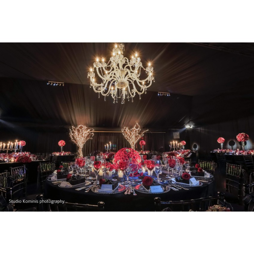 CRYSTAL 8002/12 – Δίροφος Κρυστάλλινος Πολυέλαιος 12φωτος από Μπρούτζο