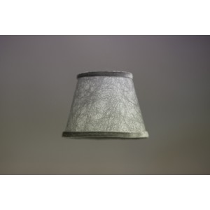 Ασημί αράχνη