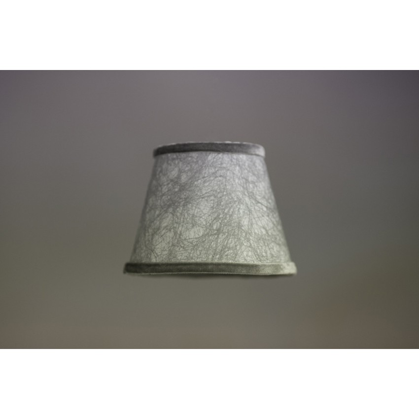 Ασημί αράχνη