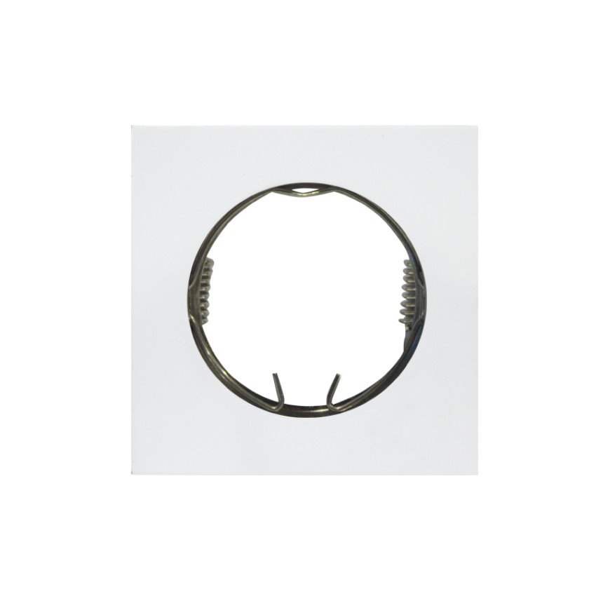 BI 1003-20-20242 BI 1003