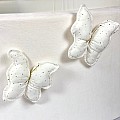 Παιδική Πισίνα Με Μπάλες White Butterfly