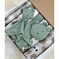 Bear Buddies Baby Box