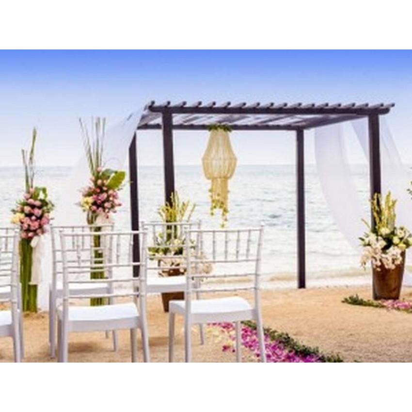 JOSEPHINE WHITE ΚΑΡΕΚΛΑ ΠΟΛ/ΝΙΟΥ JOSEPHINE WHITE ΚΑΡΕΚΛΑ ΠΟΛ/ΝΙΟΥ