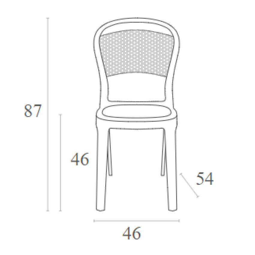 BEE BLACK TRANSP.(Σ4)ΚΑΡΕΚΛΑ BEE BLACK TRANSP.(Σ4)ΚΑΡΕΚΛΑ