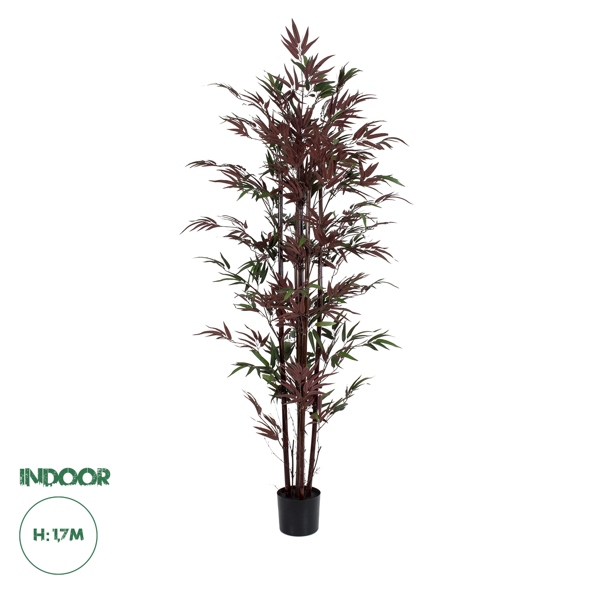 Τεχνητός Κήπος Bloodleaf Bamboo Glint® Τεχνητό Διακοσμητικό Φυτό Αιματόφυλλο Μπαμπού Υ170Cm