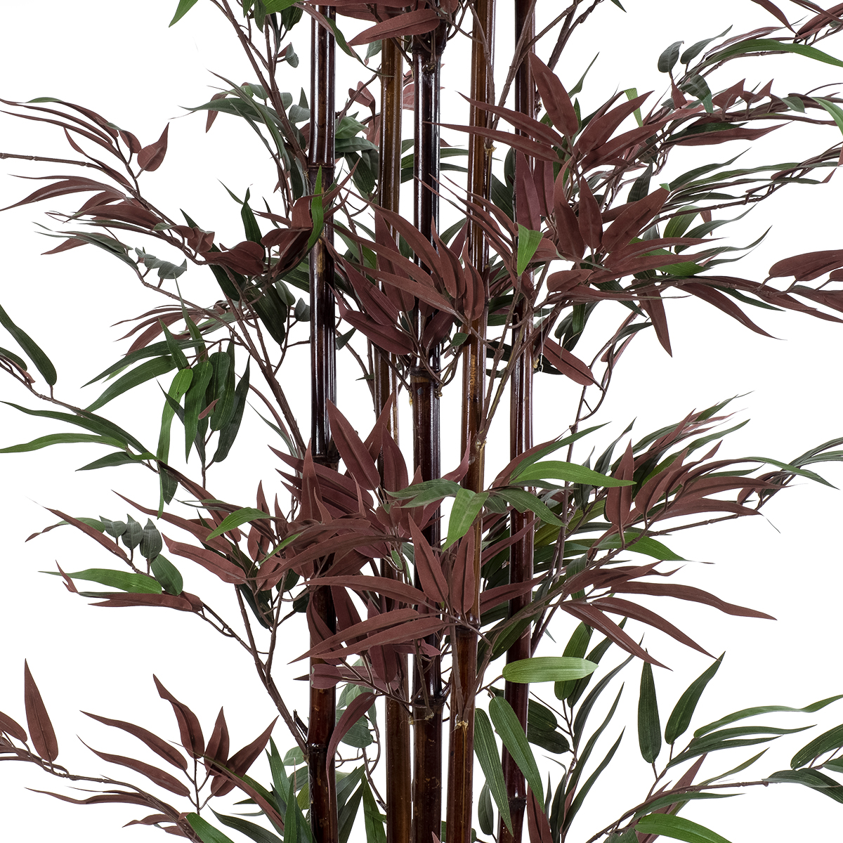 Τεχνητός Κήπος Bloodleaf Bamboo Glint® Τεχνητό Διακοσμητικό Φυτό Αιματόφυλλο Μπαμπού Υ170Cm