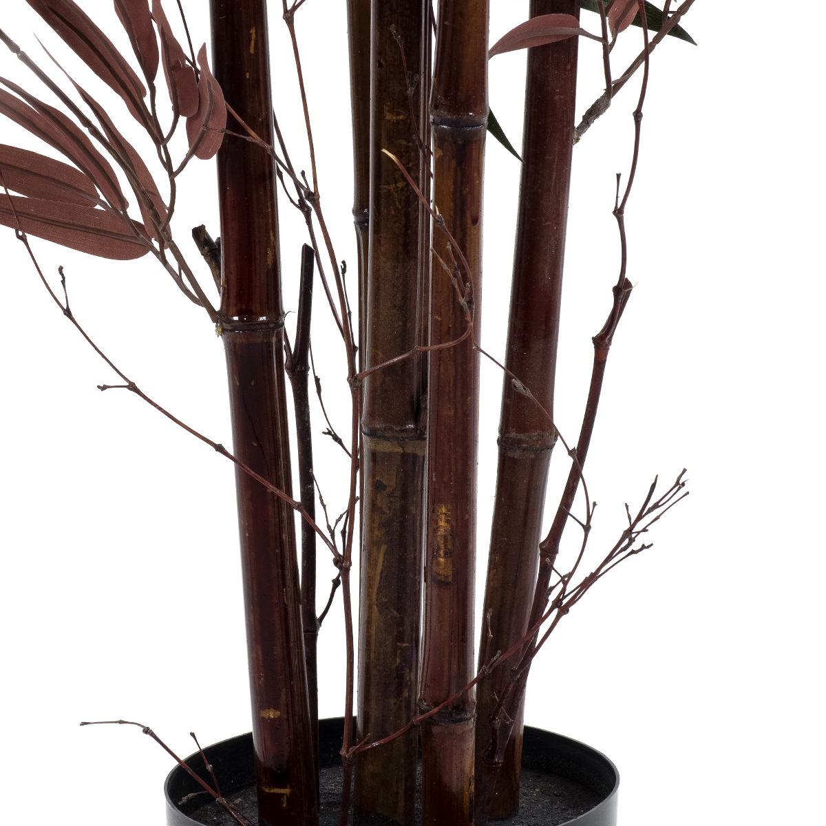 Τεχνητός Κήπος Bloodleaf Bamboo Glint® Τεχνητό Διακοσμητικό Φυτό Αιματόφυλλο Μπαμπού Υ170Cm