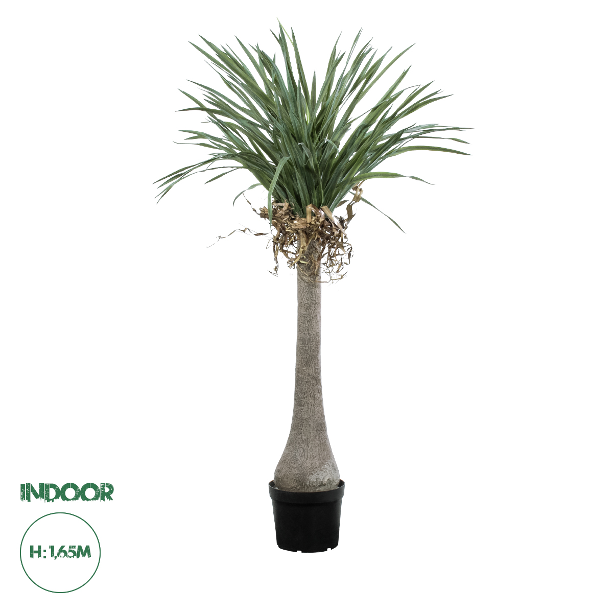 Τεχνητός Κήπος Beaucarnea Palm Tree Glint® Τεχνητό Διακοσμητικό Φυτό Κυρτόφυλλος Μπουκαρνέα Υ165Cm