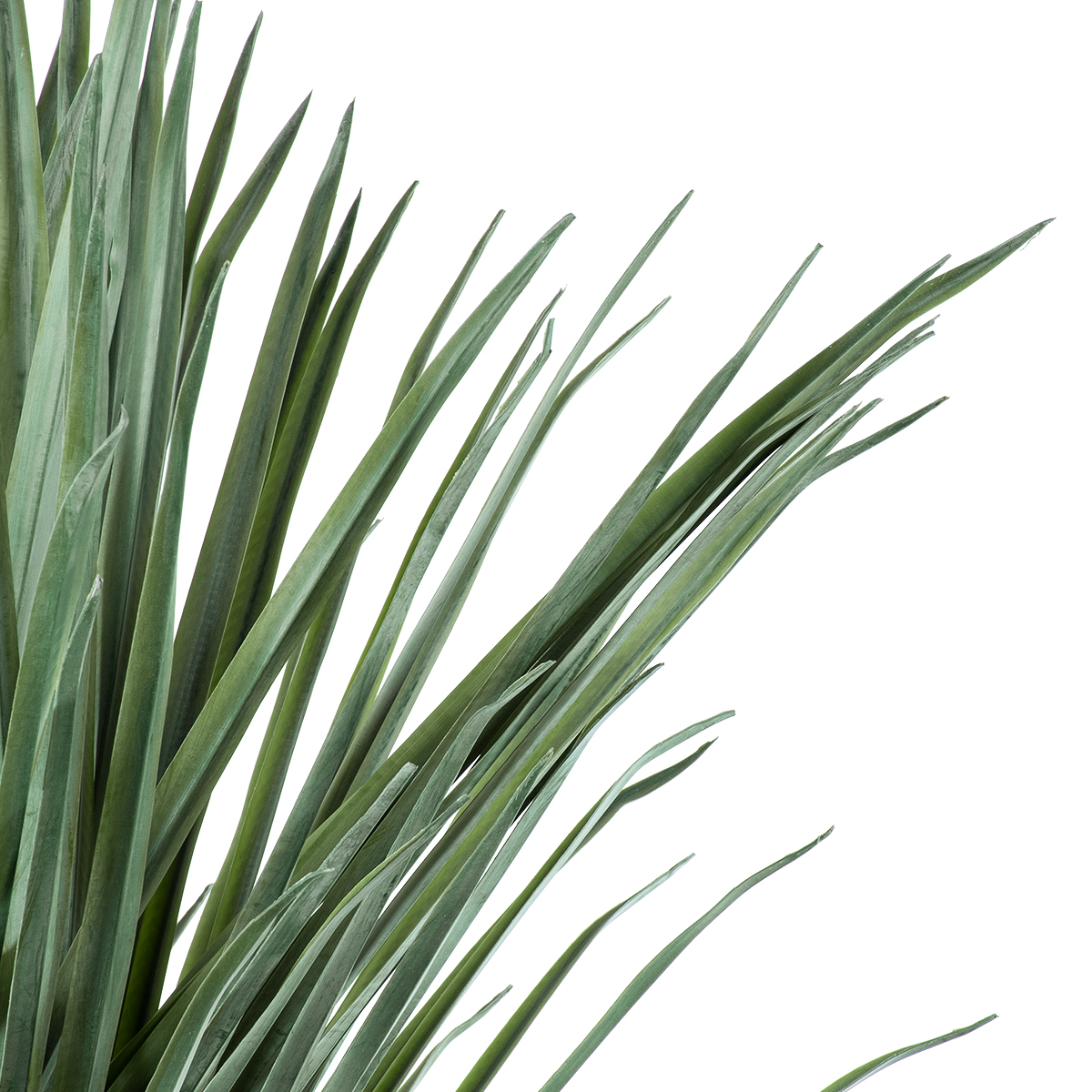 Τεχνητός Κήπος Beaucarnea Palm Tree Glint® Τεχνητό Διακοσμητικό Φυτό Κυρτόφυλλος Μπουκαρνέα Υ165Cm